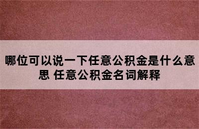 哪位可以说一下任意公积金是什么意思 任意公积金名词解释